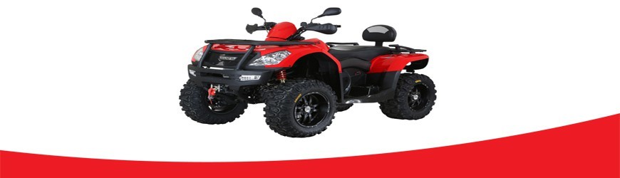 Baterías para Quads
