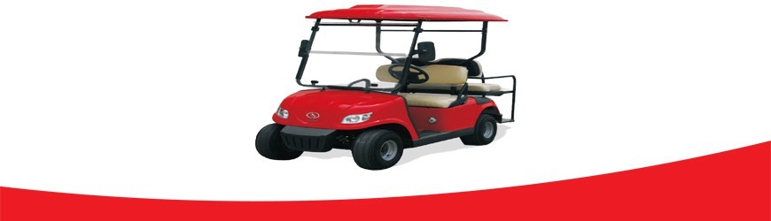 Batería para Carro de Golf